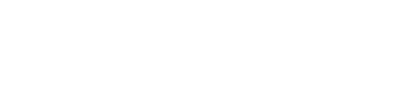 API Capital
